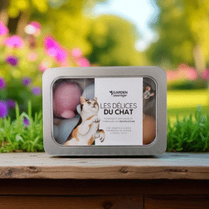 Boite à fondants les délices du chat